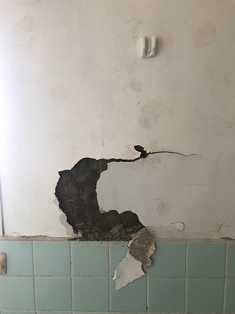【201】浴室壁剥がれ写真