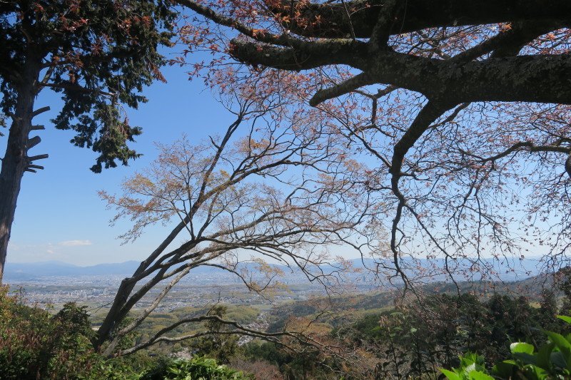 京都の遠景