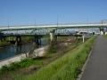 190413観月橋から久々の宇治川堤防