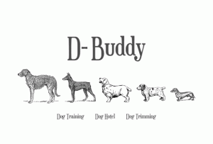 D-Buddy