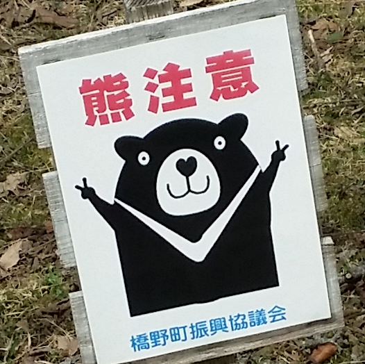 熊注意2