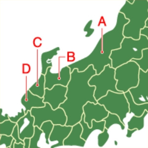 map4.jpg