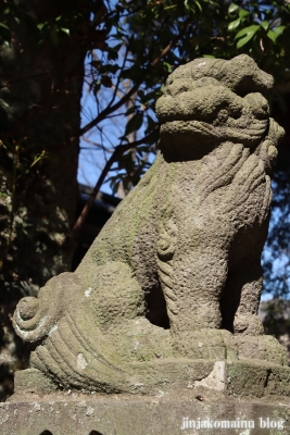熊野神社(葛飾区東水元)18