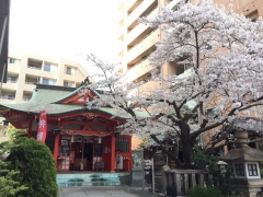2019年4月四宮神社に春が来た3