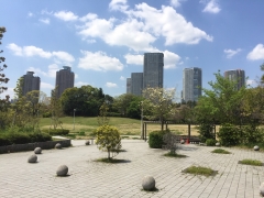 2019年4月の東京3東京の風景3