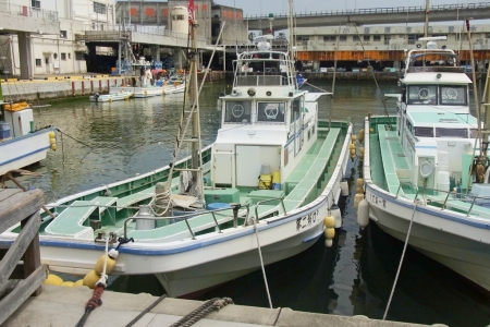 小田原漁港の船