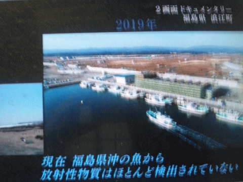 「現在、福島県沖の魚から、放射性物質はほとんど検出されていない」と放送するNHK