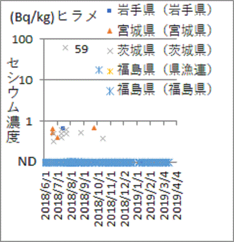 隣県や漁連の検査では見つかっても福島県の検査では殆ど見つからないヒラメのセシウム