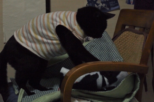 きなみちゃん 猫服 猫の洋服 ハンドメイド