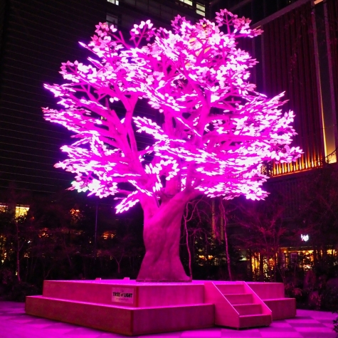 The Tree of Light -灯桜-【日本橋 桜フェスティバル2019】