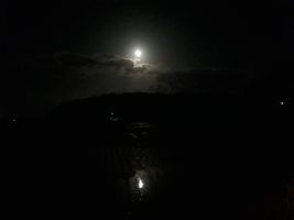 【写真】農園前の田んぼの水面に映る月