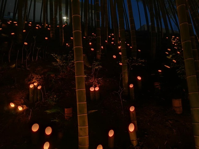 竹灯篭まつり