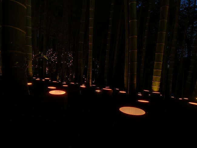 竹灯篭まつり