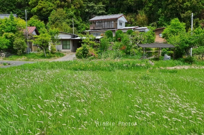 2019年5月永田の家