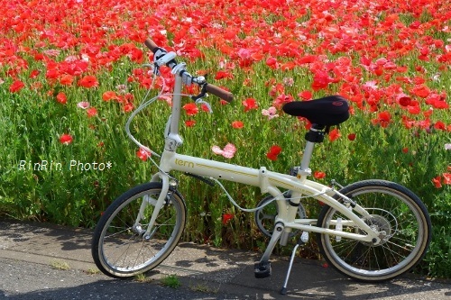 2019年5月笹井ポピーと自転車