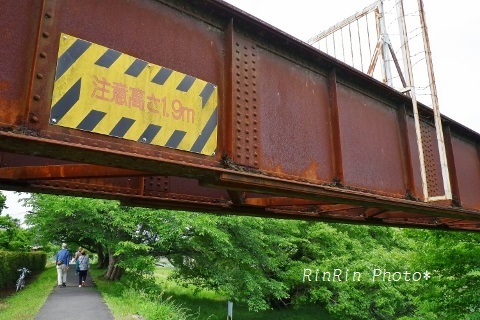 2019年5月入間川鉄橋をくぐる