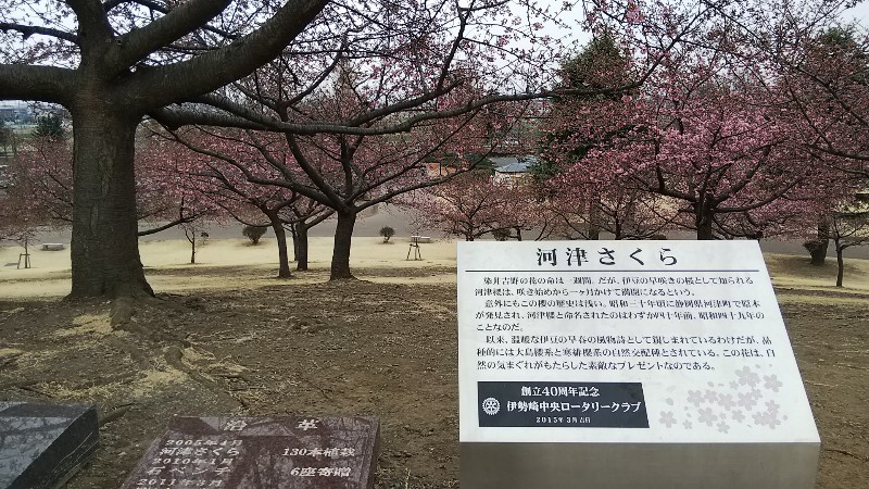 伊勢崎市民のもり公園石碑20190303