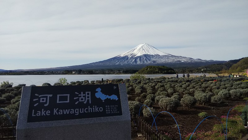 河口湖富士山201904