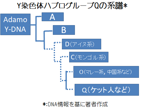 Y染色体ハプログループQの系譜