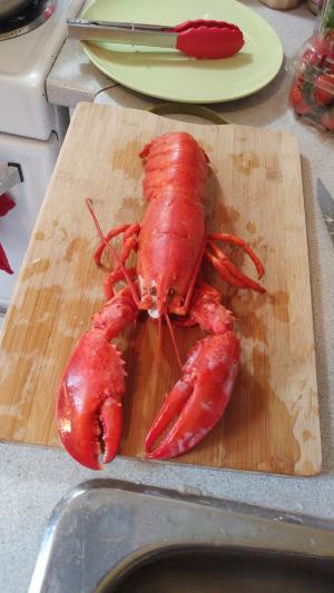 lobster-01.jpg