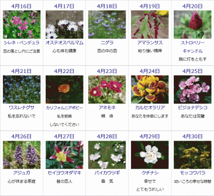 ゆうちゃんのブログ 4月の誕生花と花言葉カレンダー