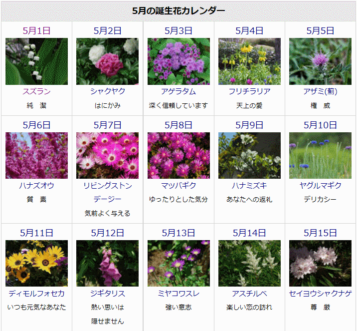 ゆうちゃんのブログ 5月の誕生花と花言葉カレンダー
