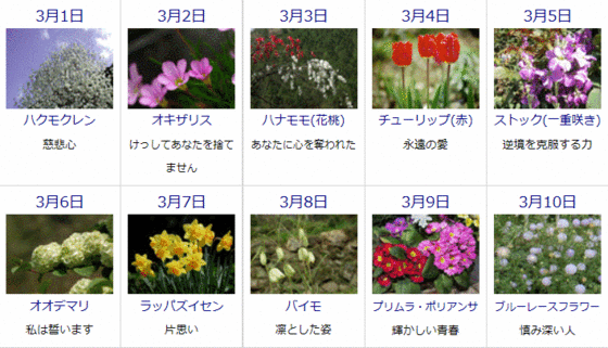 ゆうちゃんのブログ 3月の誕生花と花言葉カレンダー