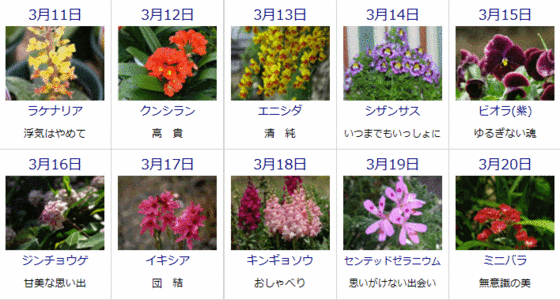 ゆうちゃんのブログ 3月の誕生花と花言葉カレンダー