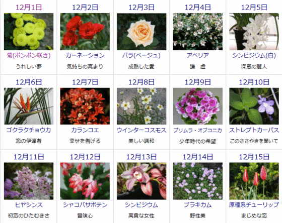 50 12 9 誕生花