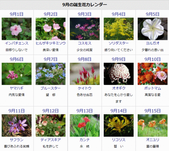 花便りゆうちゃんのひとりごと 9月の誕生花と花言葉カレンダー