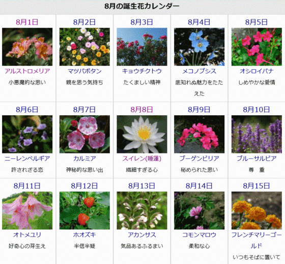 ８月の誕生花と花言葉カレンダー ゆうちゃんのブログ