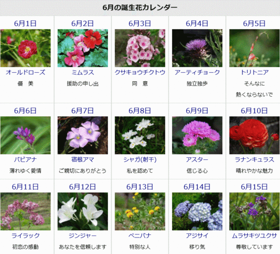 ゆうちゃんのひとりごと 6月の誕生花と花言葉カレンダー