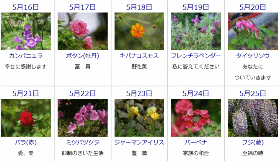 ゆうちゃんのブログ 5月の誕生花と花言葉カレンダー