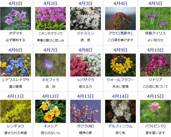 ゆうちゃんのブログ 4月の誕生花と花言葉カレンダー