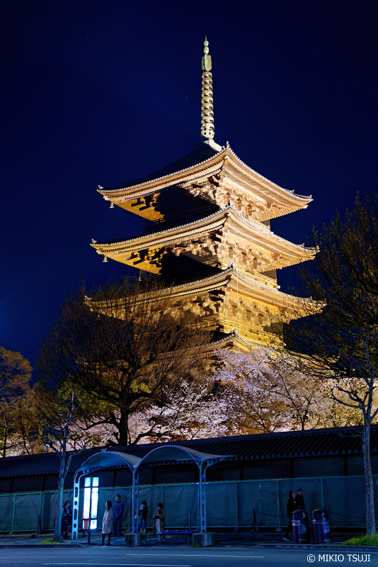 絶景探しの旅 夜の東寺の五重塔 京都市 南区